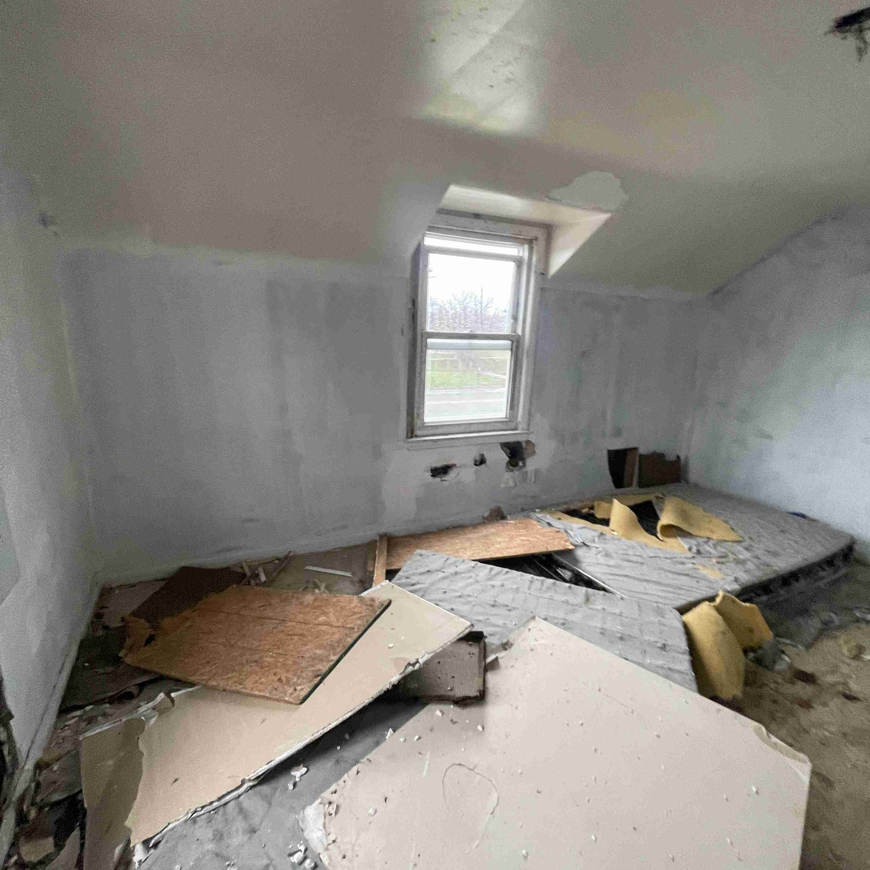 20017 Schoenherr (84).jpg